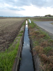 2017/05/14_曇天の用水路
