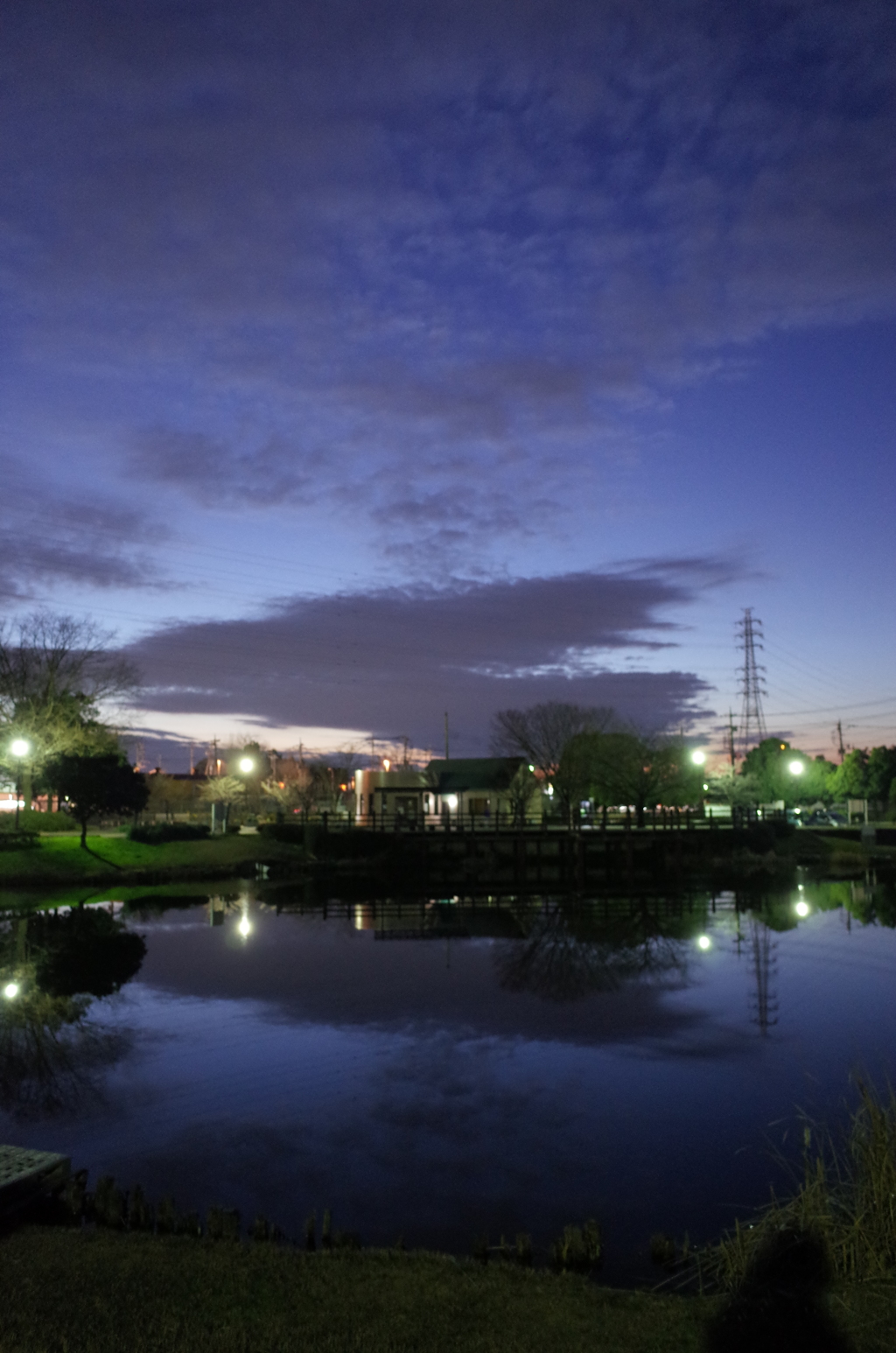 2015/12/30_西城沼公園の夕暮れ（没カット）
