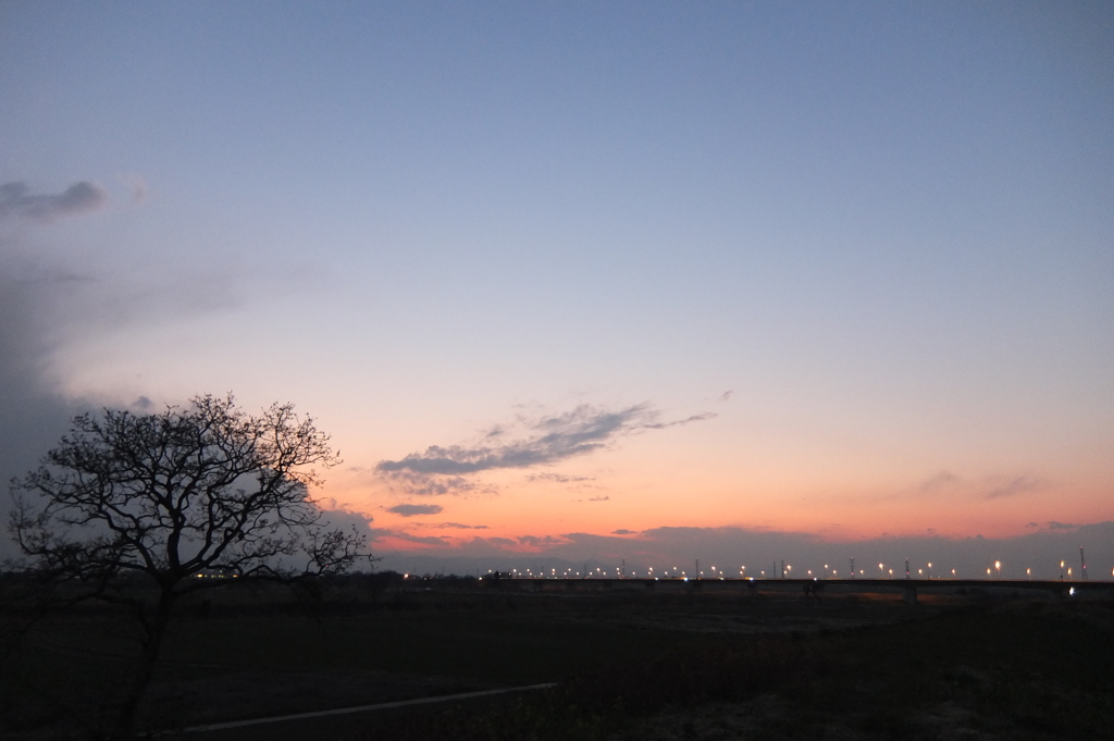 2014/03/09_夕暮れの木と太郎右衛門橋