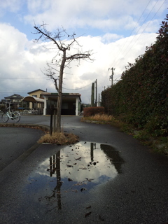 2016/12/10_新魚津駅前の水溜まりと空