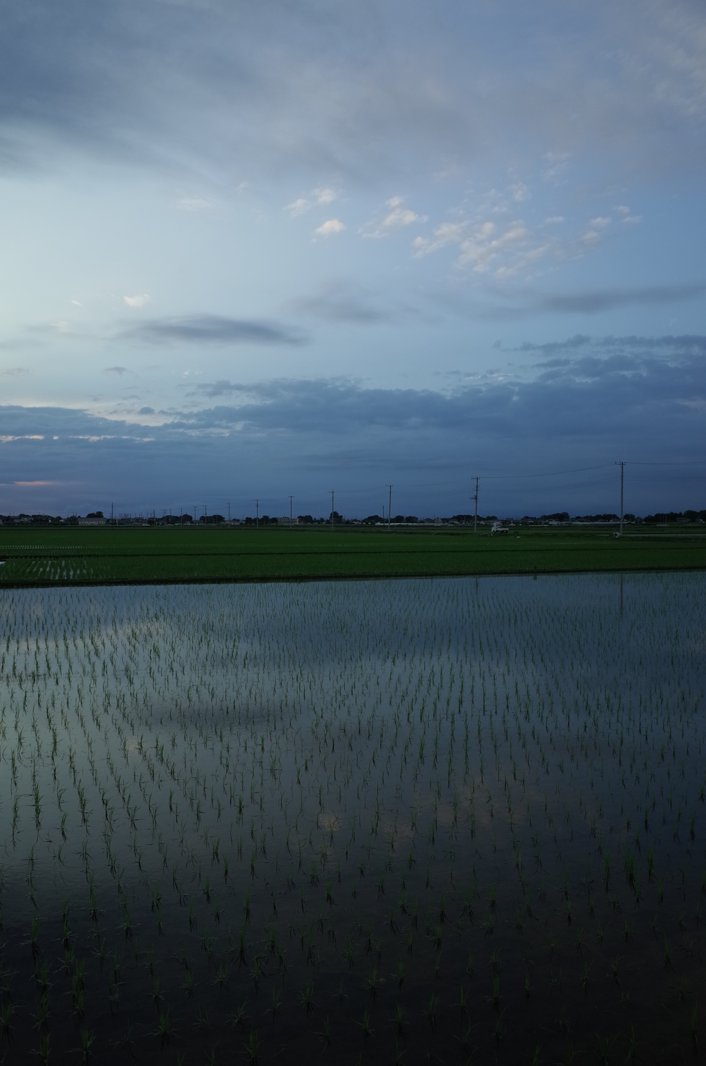 2015/06/21_水田の夕暮れ