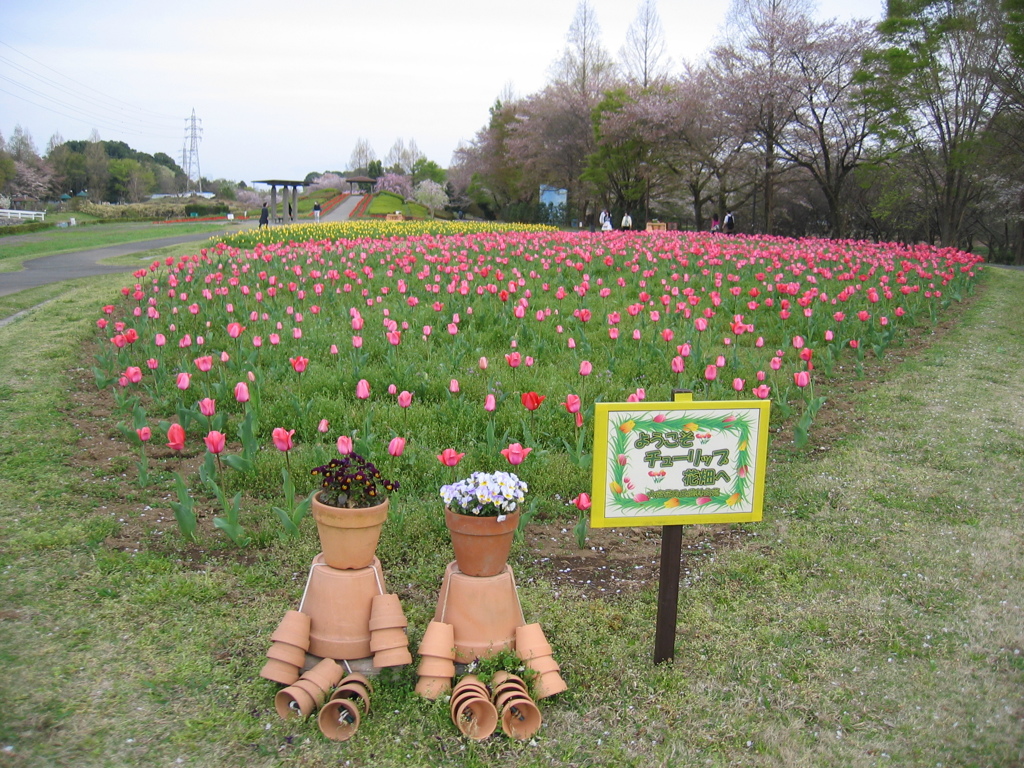 2016/04/09_花の丘農林公苑のチューリップ
