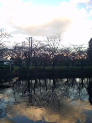 2015/11/03_岩槻城址公園