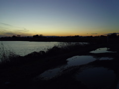 2016/12/24_水溜まりと溜め池の夕暮れ