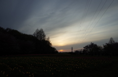 2016/04/09_花の丘農林公苑の夕暮れ