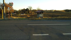 2013/01/04_畑の中の社