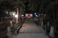 2015/01/01_夜の伊奈氷川神社