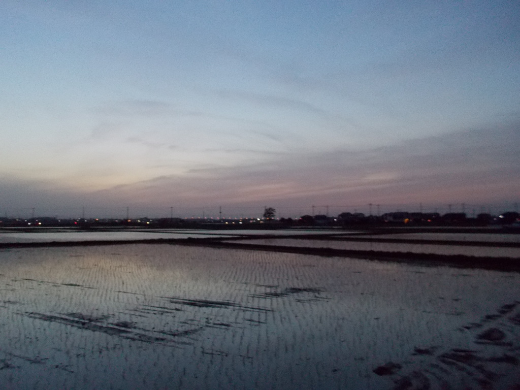 2016/05/07_水田の夕暮れ