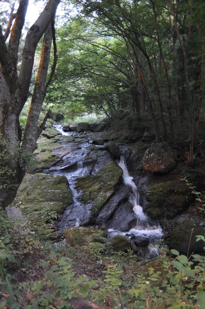 2014/10/04_定峰のせせらぎ