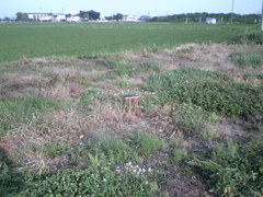 2015/07/12_小さな鳥居