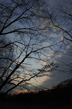 2016/03/26_北本自然観察公園の夕空