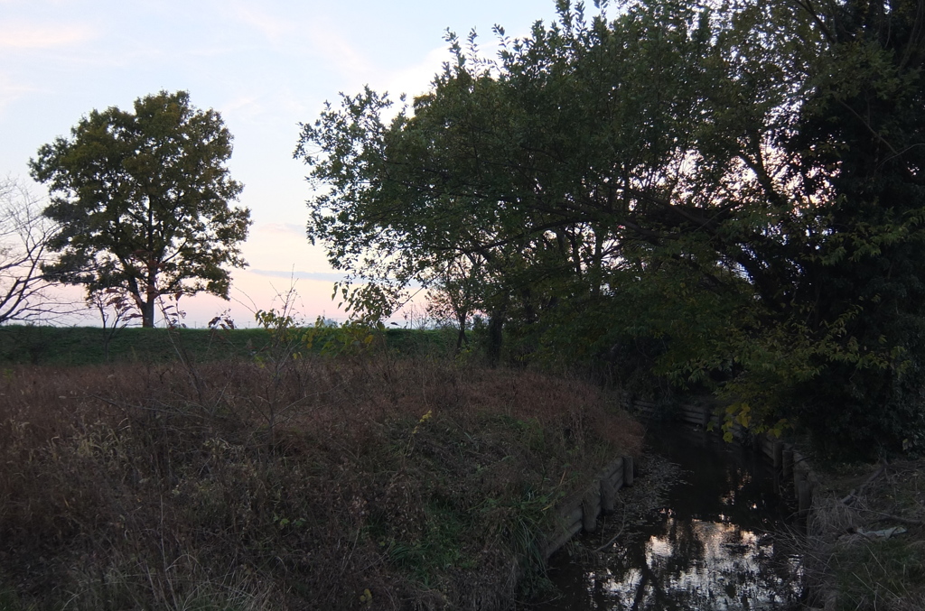 2014/11/23_夕暮れの小川