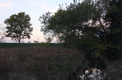 2014/11/23_夕暮れの小川