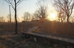 2015/02/11_ホタルの里