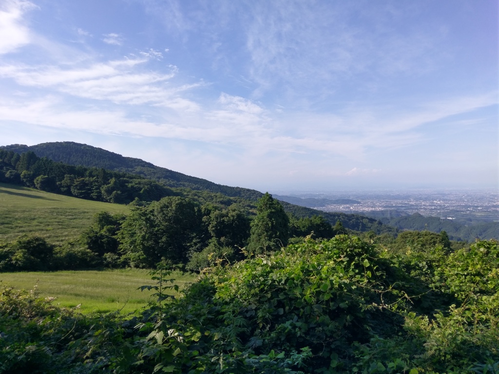 2018/06/24_外秩父山中からの眺め
