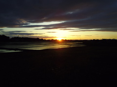 2017/06/04_水田の夕暮れ