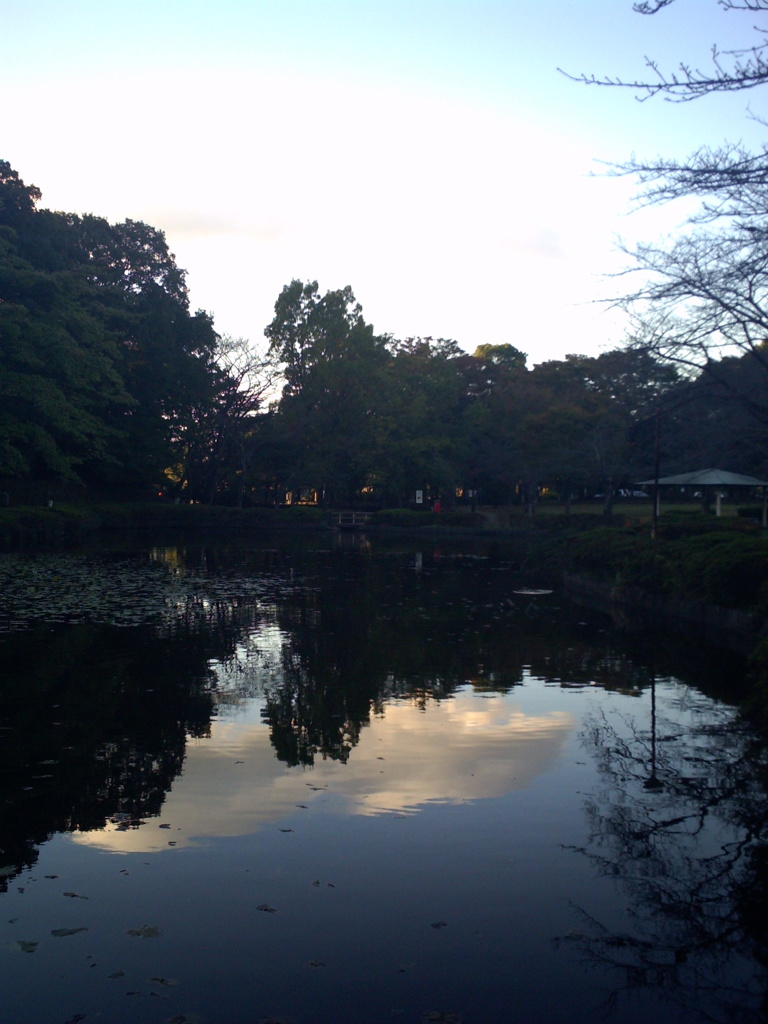 2015/11/03_岩槻城址公園