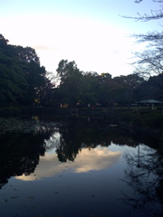 2015/11/03_岩槻城址公園