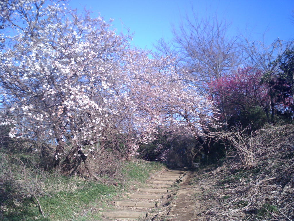 2014/03/22_高尾宮岡の景観地