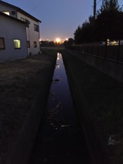 2016/11/05_夕暮れの用水路にナイター