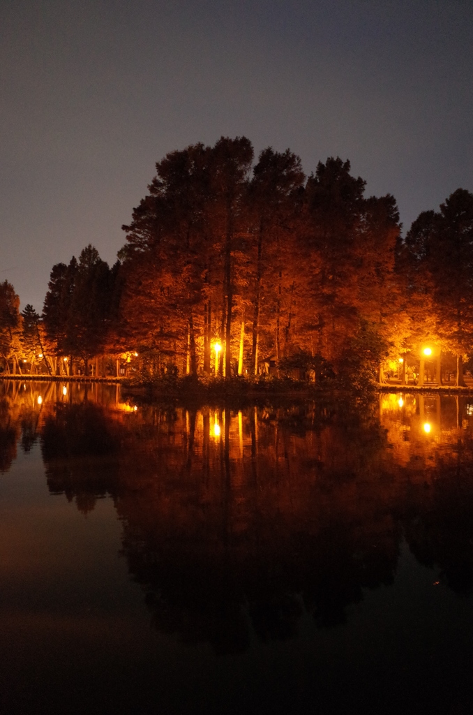 2014/11/24_夜の別所沼公園