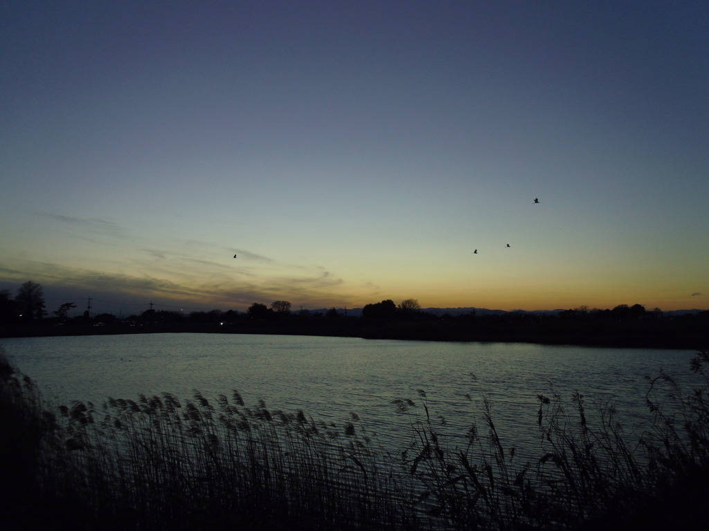 2016/12/24_溜め池の夕暮れ