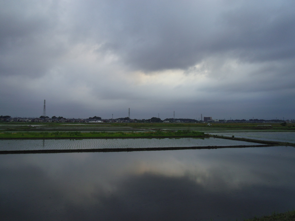 2017/05/27_水田の曇天