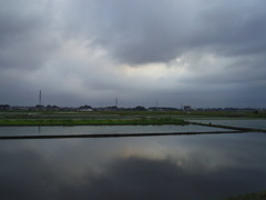 2017/05/27_水田の曇天