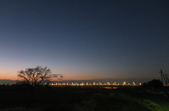 2014/01/12_夕暮れの木と太郎右衛門橋