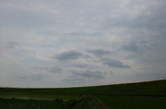 2015/06/20_曇天の荒川堤防