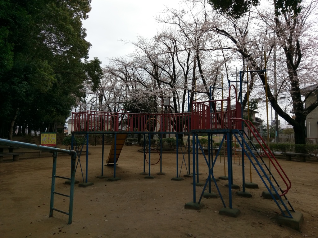 2019/03/29_氷川児童公園の桜