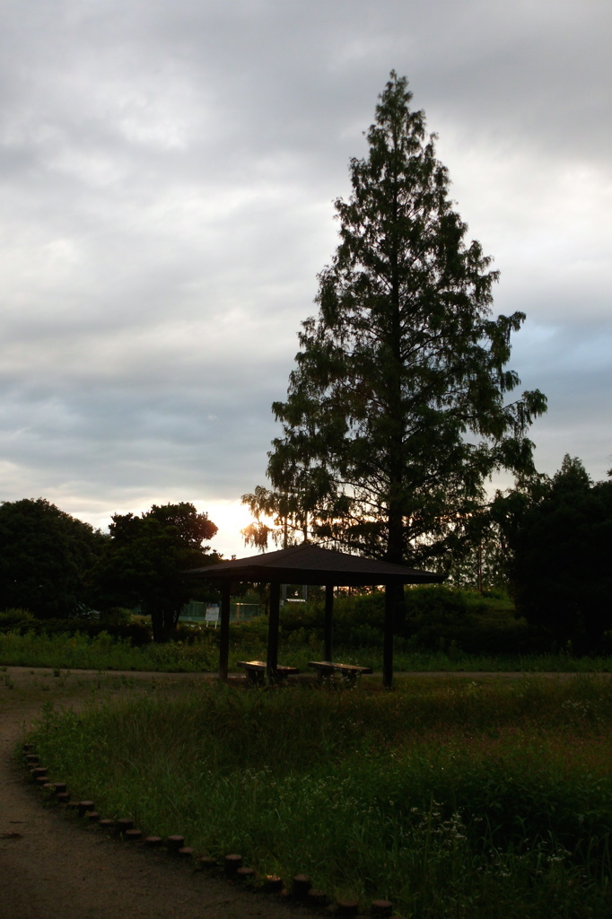 2014/06/29_夕暮れの伊奈町制施行記念公園