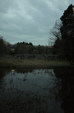 2016/03/26_北本自然観察公園