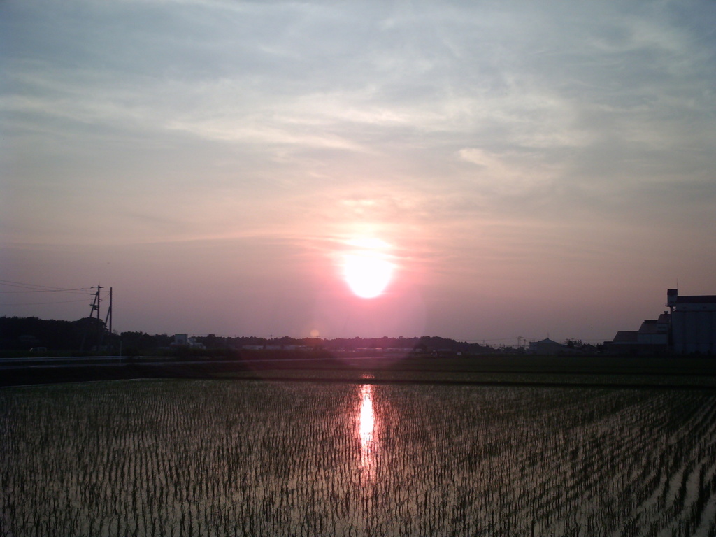 2015/07/12_水田の夕暮れ