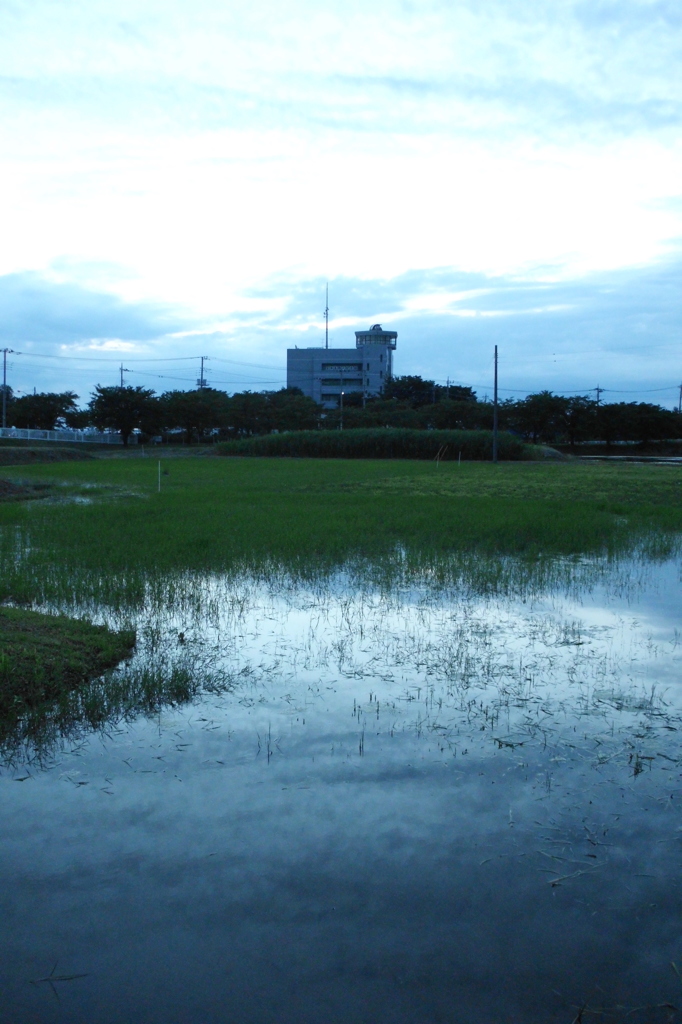 2015/06/21_夕暮れのラブミー農場跡地