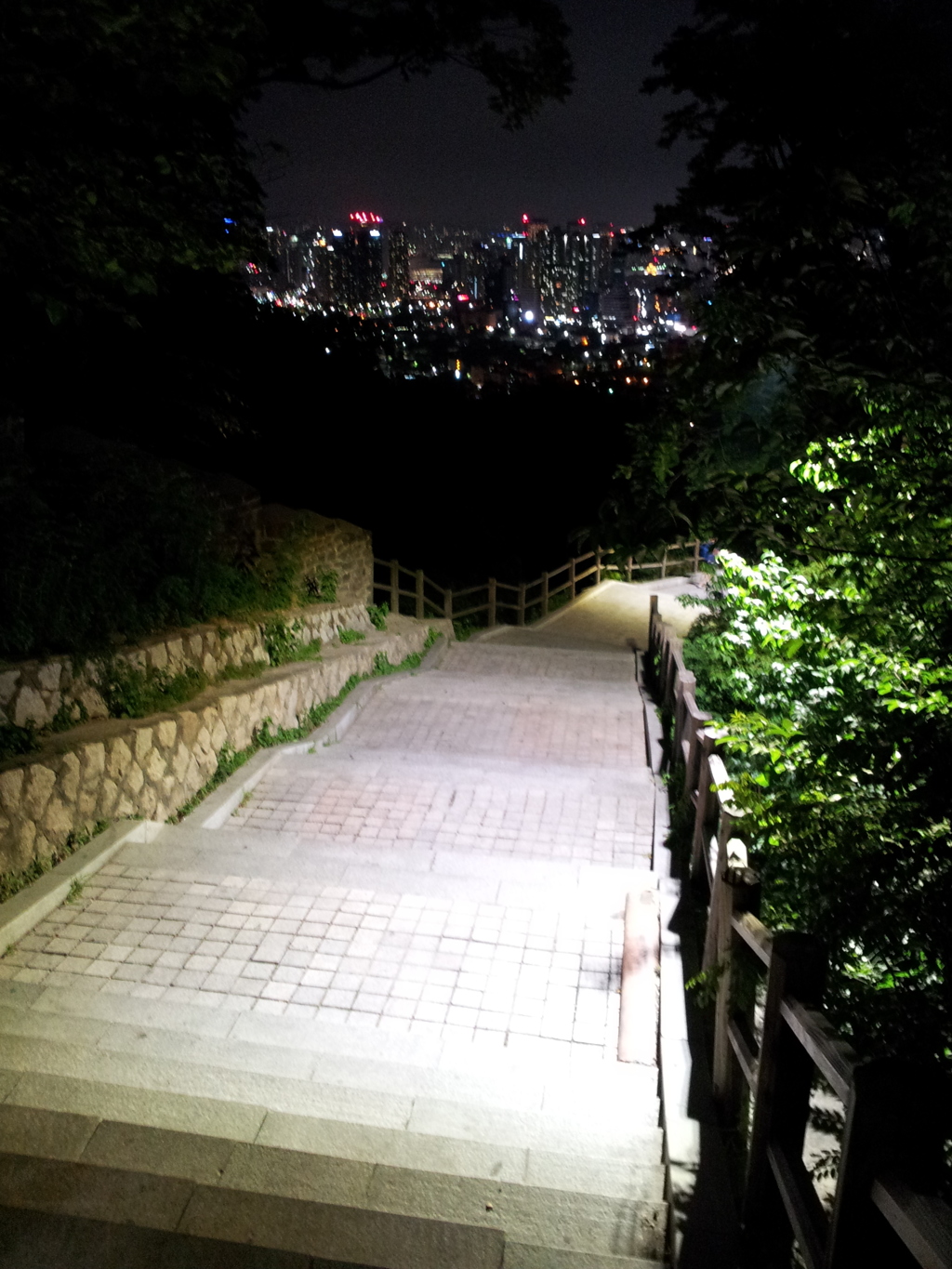 2017/06/17_夜の南山公園で下山中