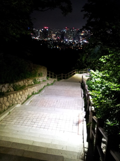 2017/06/17_夜の南山公園で下山中