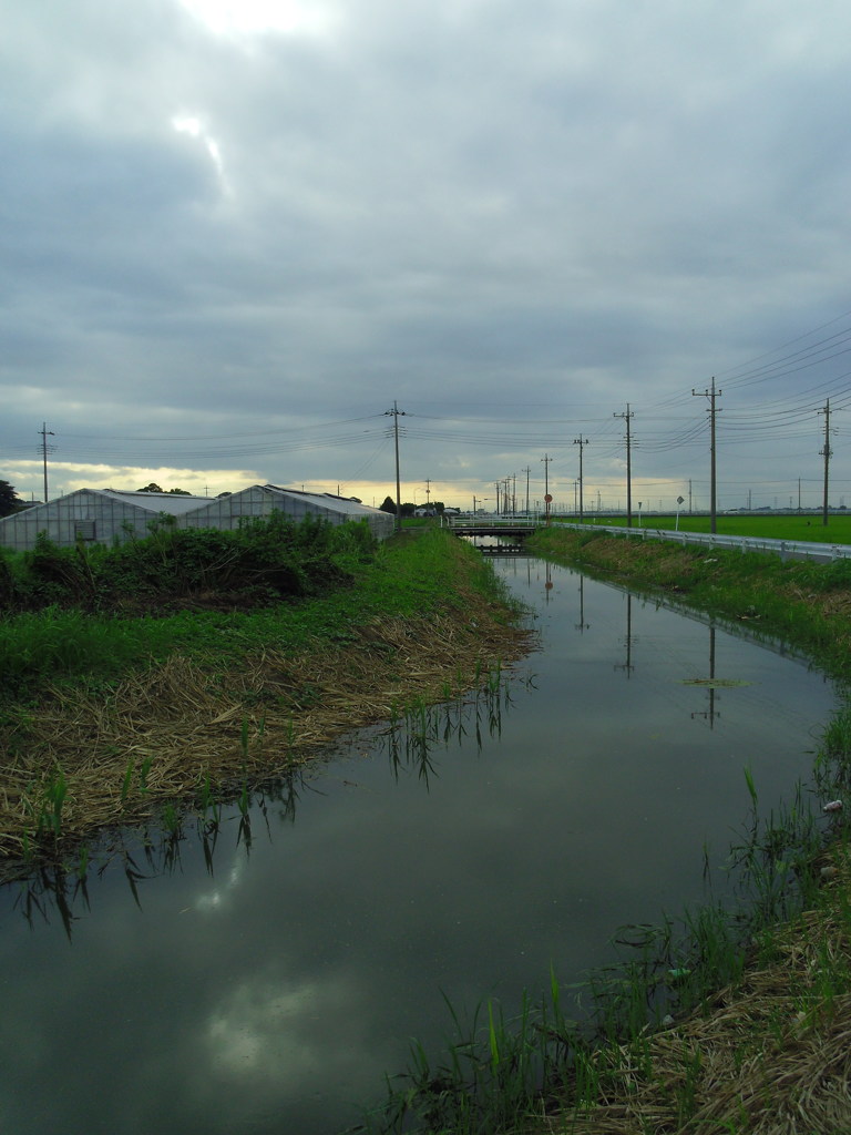 2017/08/12_用水路の曇天