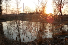 2015/02/11_ホタルの里