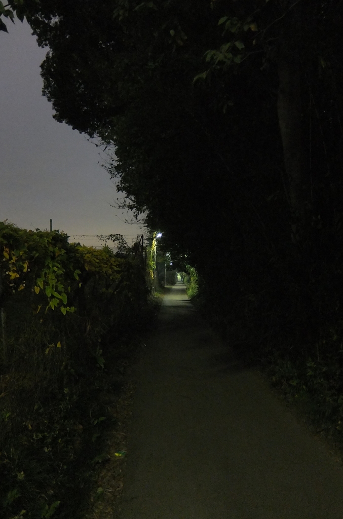 2014/11/08_夜の田舎道