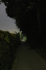 2014/11/08_夜の田舎道