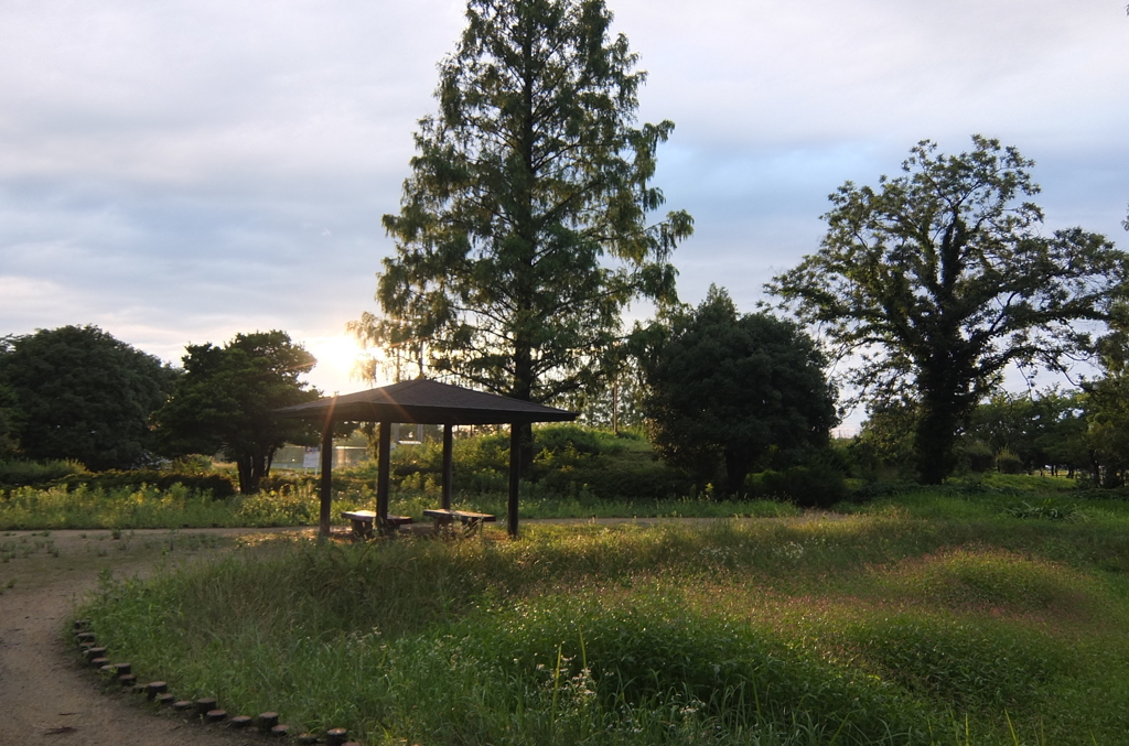 2014/06/29_夕暮れの伊奈町制施行記念公園