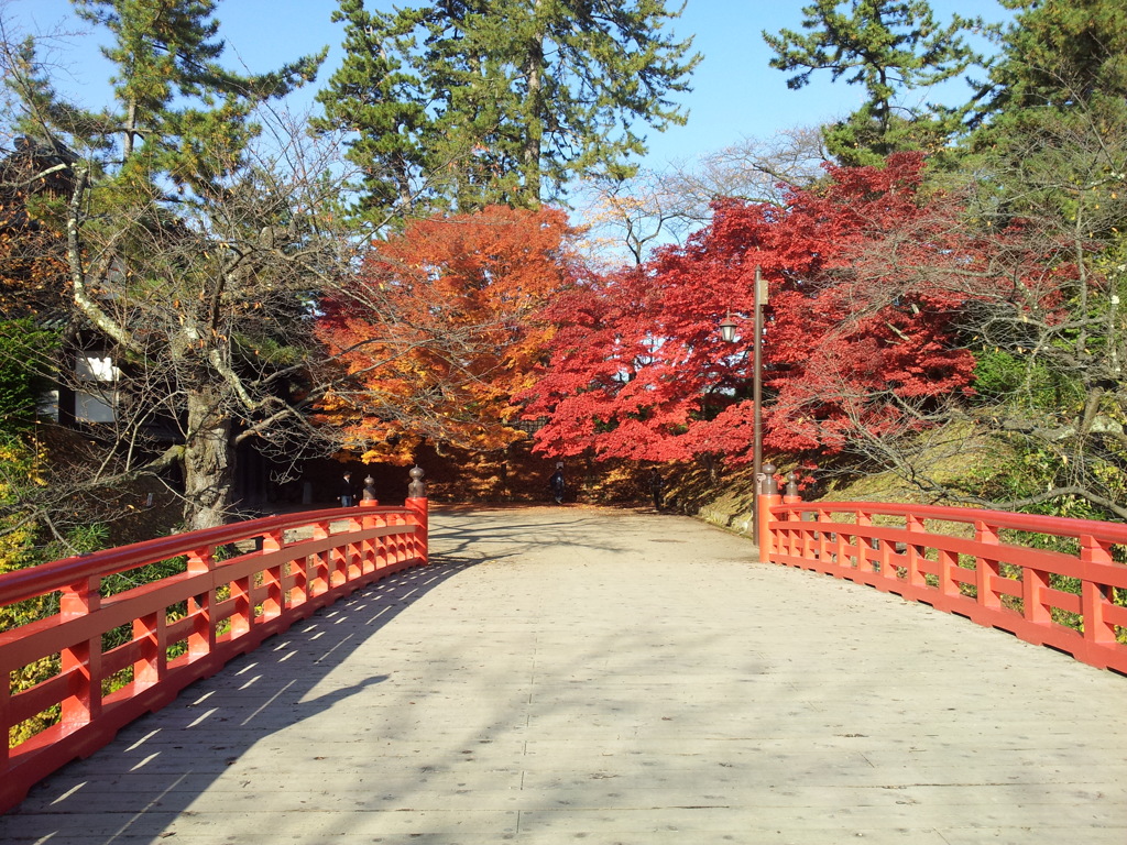 2016/11/14_弘前公園 杉の大橋