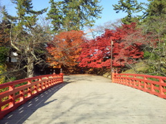 2016/11/14_弘前公園 杉の大橋