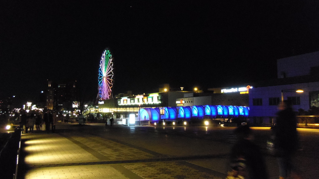 2014/01/01_夜のパレットタウン