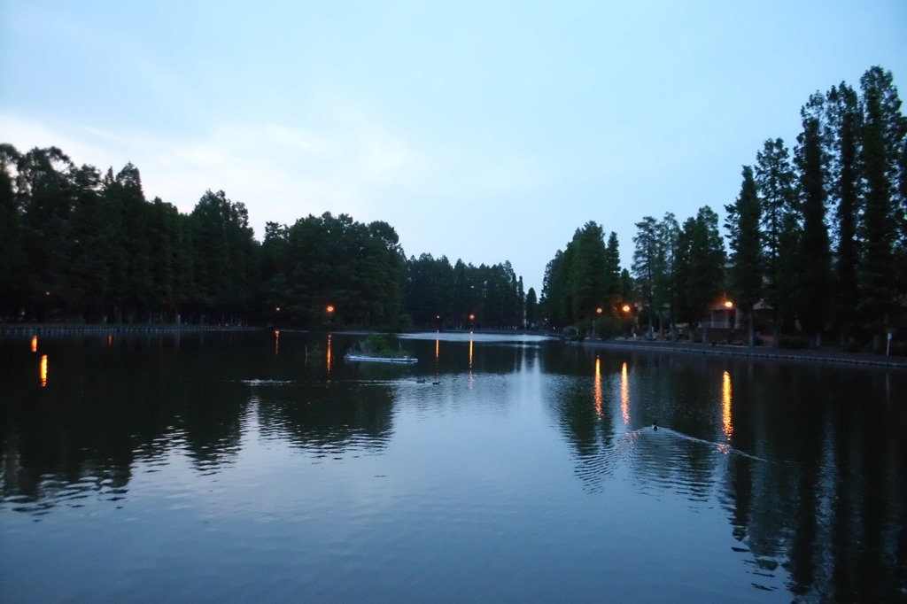 2014/05/24_夕暮れの別所沼公園