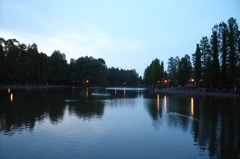 2014/05/24_夕暮れの別所沼公園
