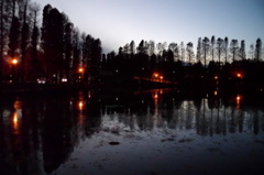 2014/12/14_夕暮れの別所沼公園