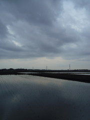 2017/05/27_水田の曇天