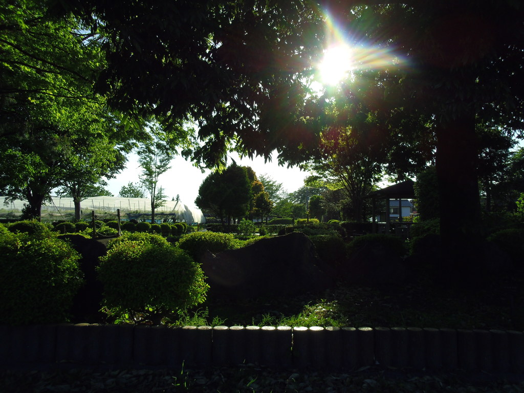 2017/05/04_鎮守の森公園
